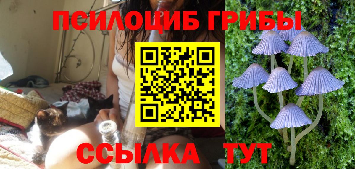Кетамин Гусь-Хрустальный