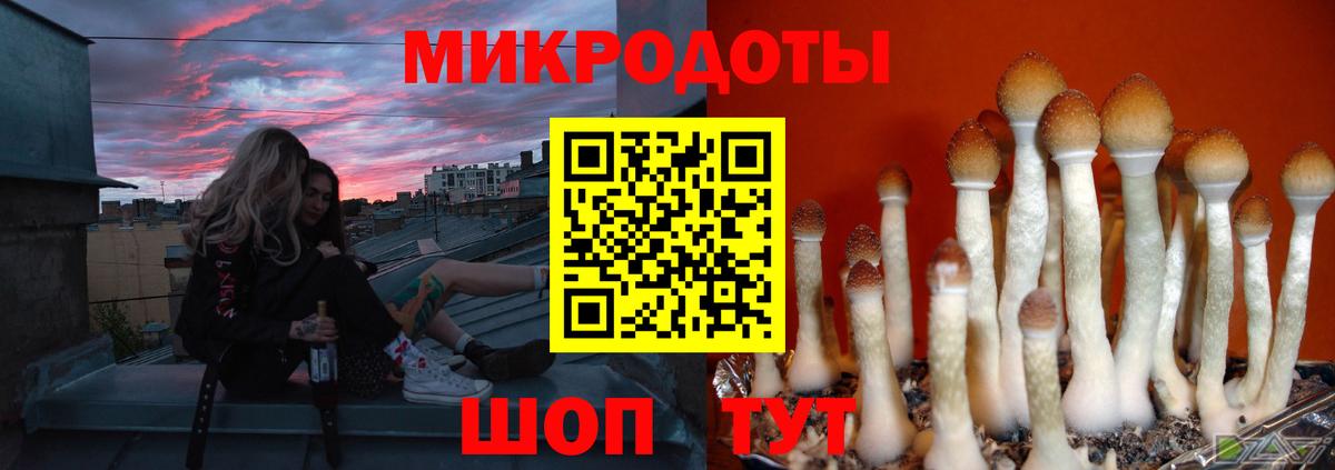 Галлюциногенные грибы Psilocybine cubensis Гусь-Хрустальный